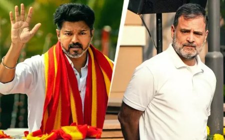 టీవీకేకు కాంగ్రెస్ మద్దతు?.. రెండు మంత్రి పదవులు.. డీల్ ఖరారు?